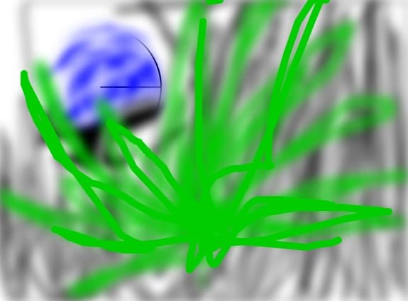 fantezie