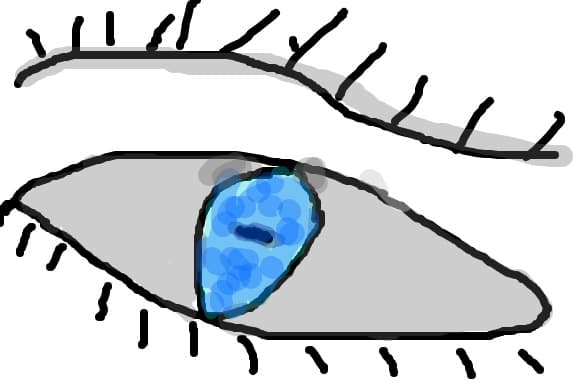 ochii