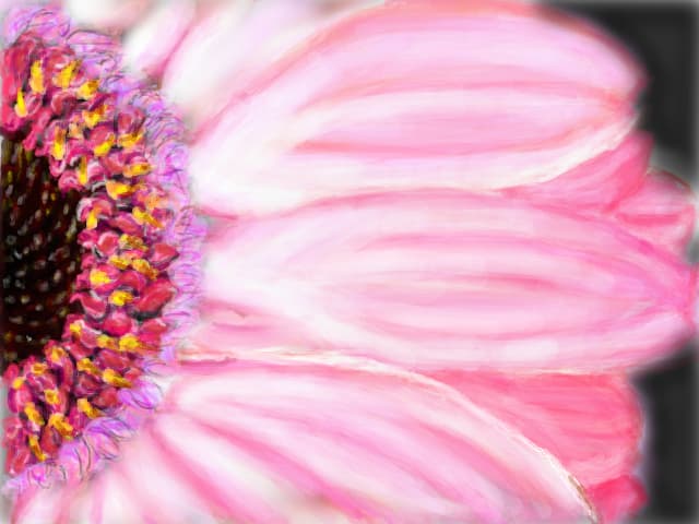 Floricica rozz