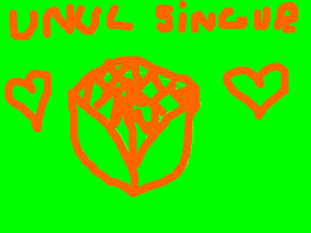 un singur trandafir