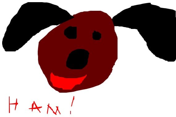 ham!!!