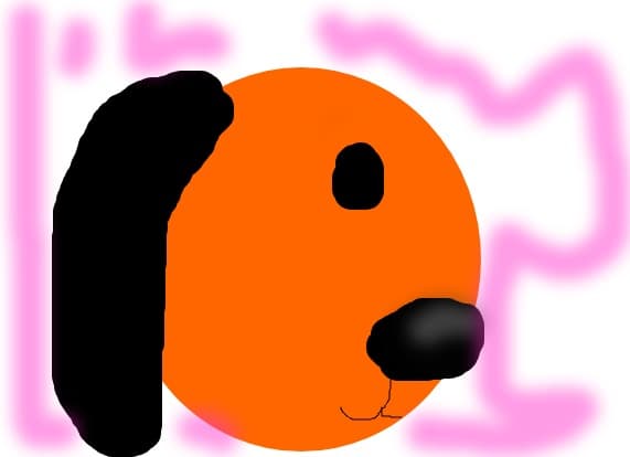 Boocy