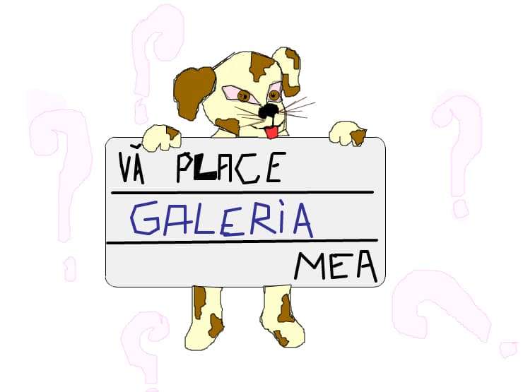 va place galeria mea?