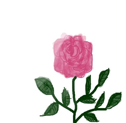 Rose for Maya
