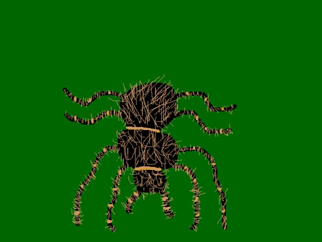 Tarantula