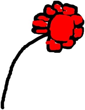 o floare