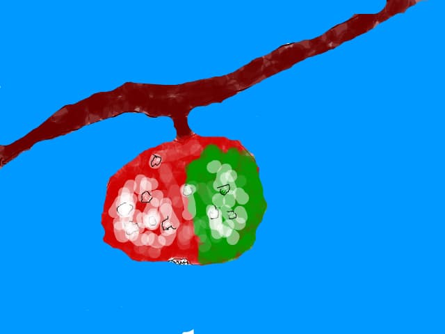 Un mar