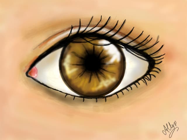 I See YOU..