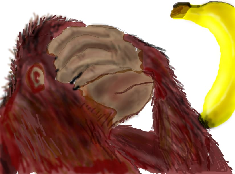 monkey