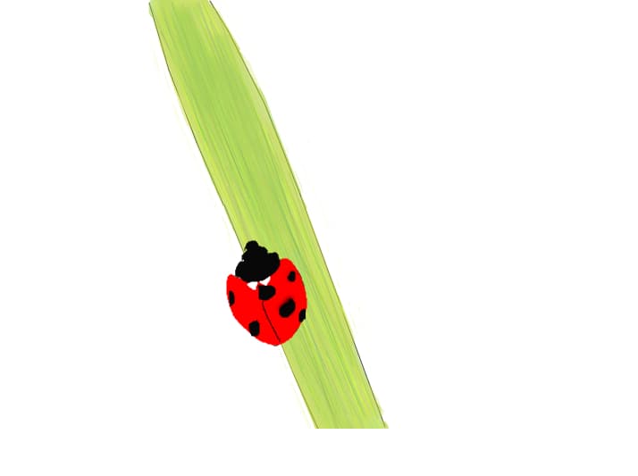 Lady bug-unfinished