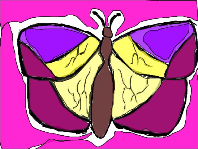 fluture schita colorata