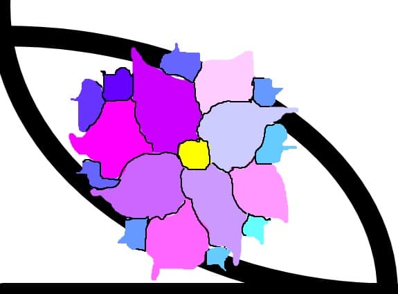 floare colorata
