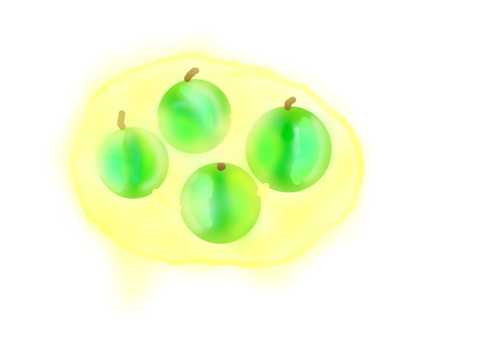 apples