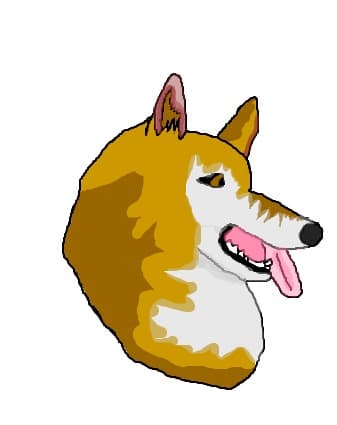 Husky Siberian