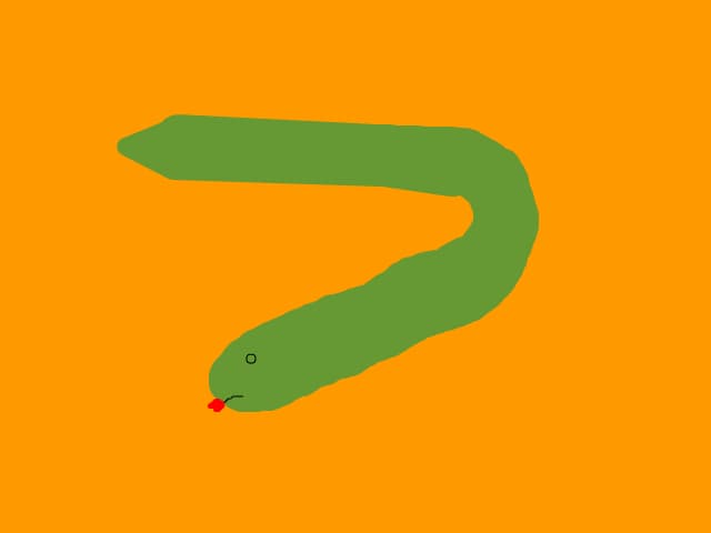 Snake