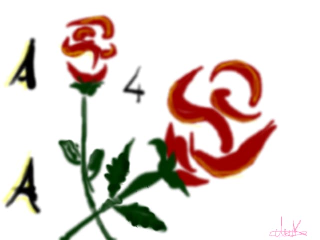 rose for my friend.. Rose