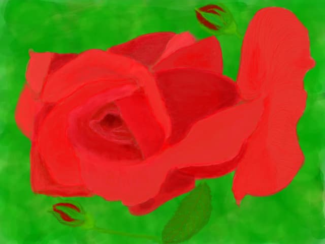 Rosa