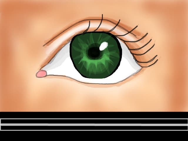 Eye