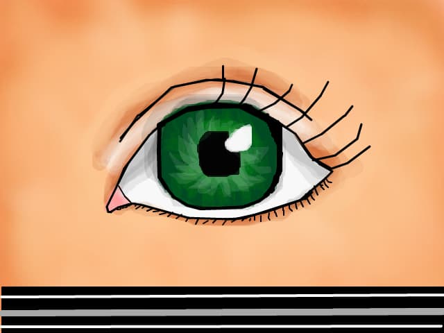 ochi