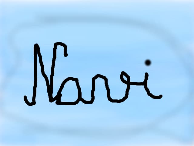 navi