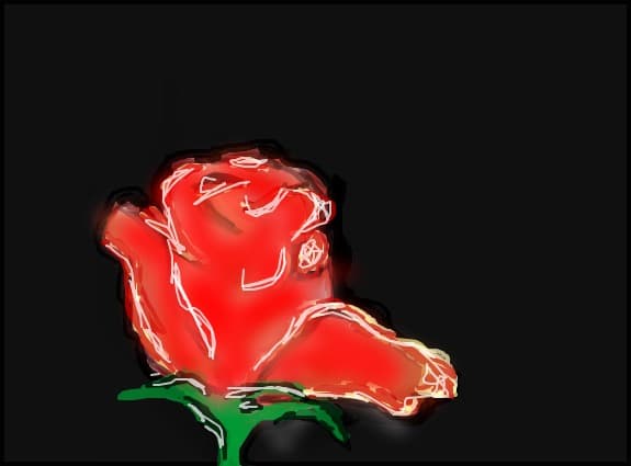 trandafir rose