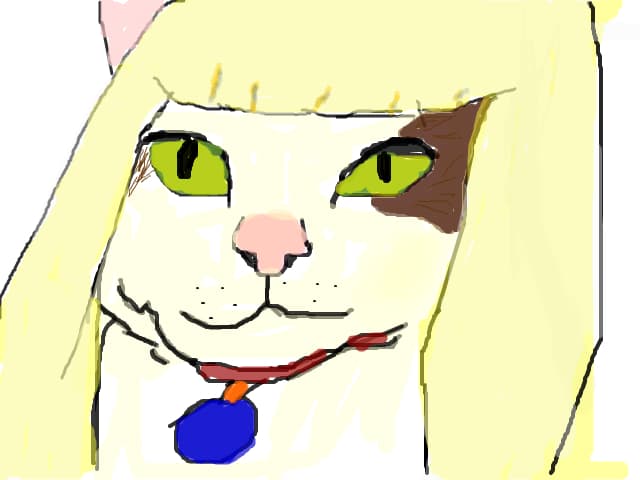 KItty face