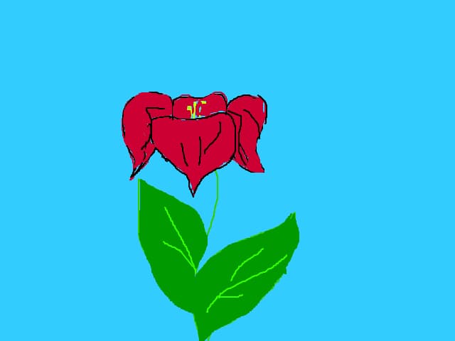 o floricik