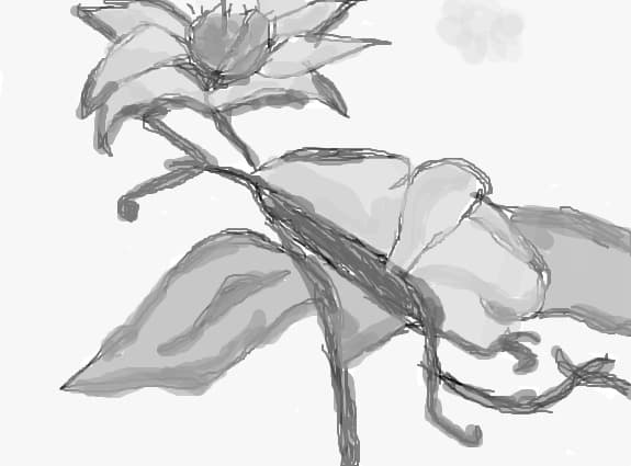 floricica