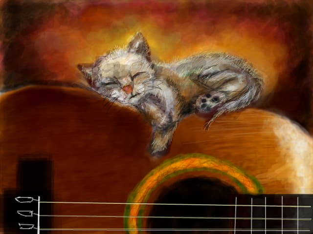 little kitty