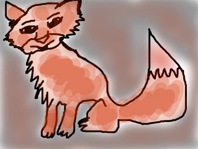 Vulpe