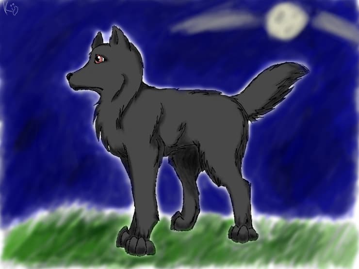Wolf...