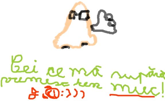 domnul nas
