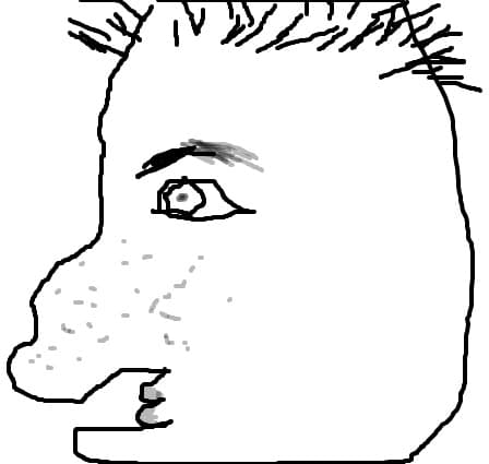 nicolaie