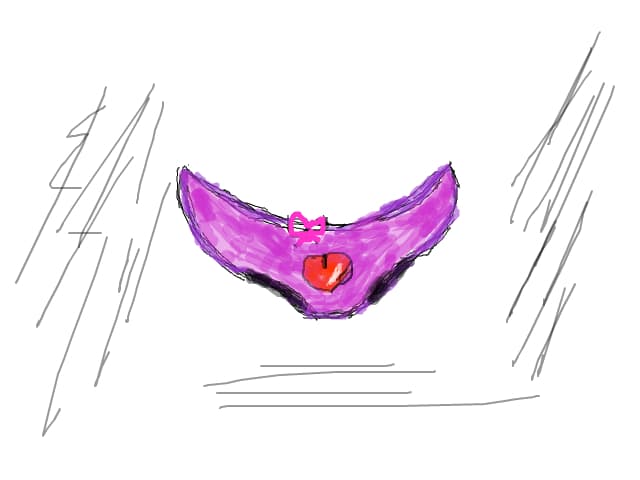 lenjerie intima
