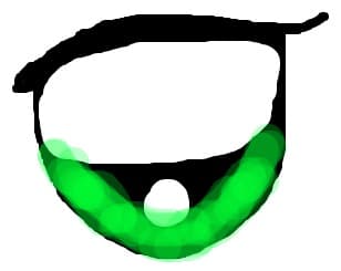ochiul
