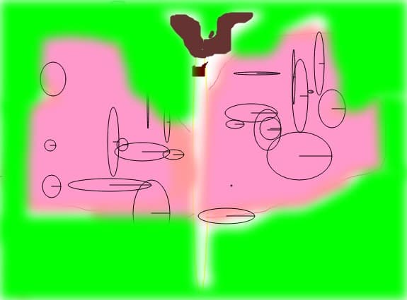 fluture