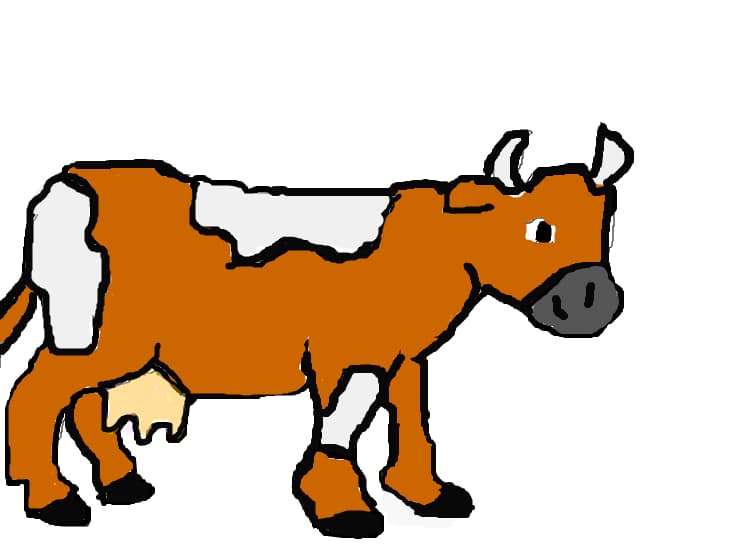 vaca