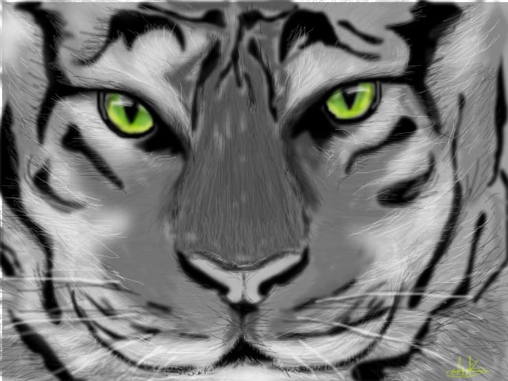 wild animal eyes