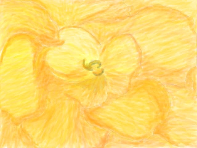 rose
