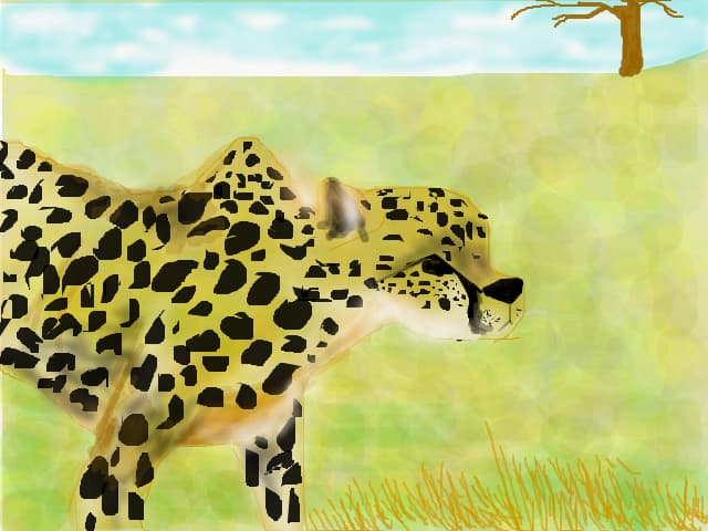 ghepard