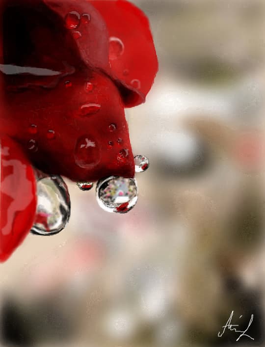 Crystal Clear II