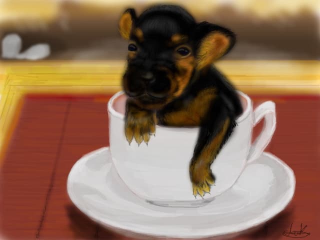 smallest puppy in the world
