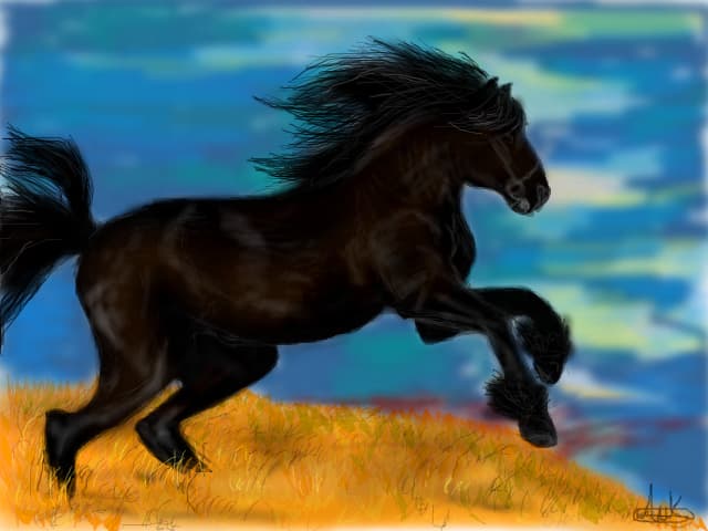 black beauty