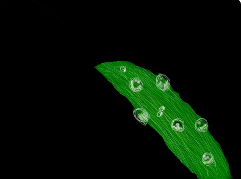 sclipire