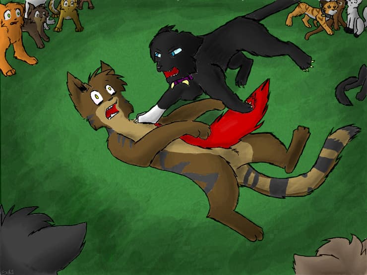 Tigerclaw\\\'s death...