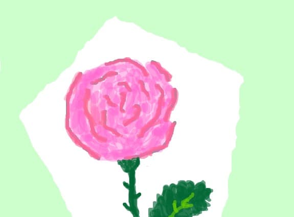 rose