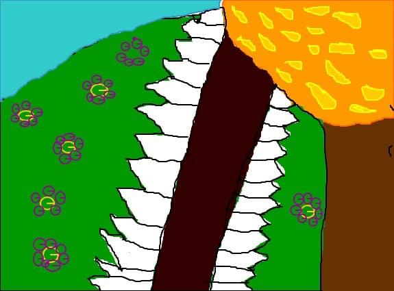 copacul