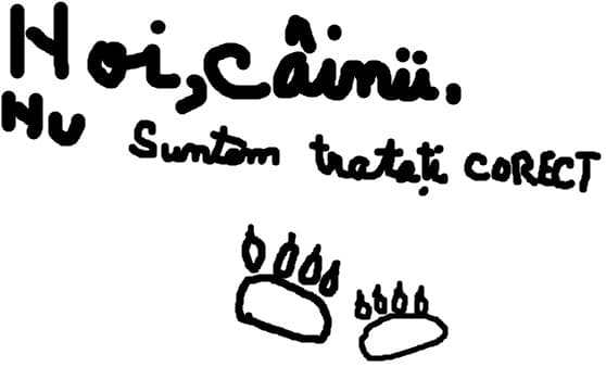 mesaj de la caini (semnat)
