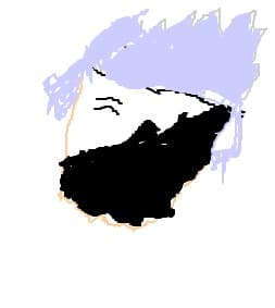 kakashi