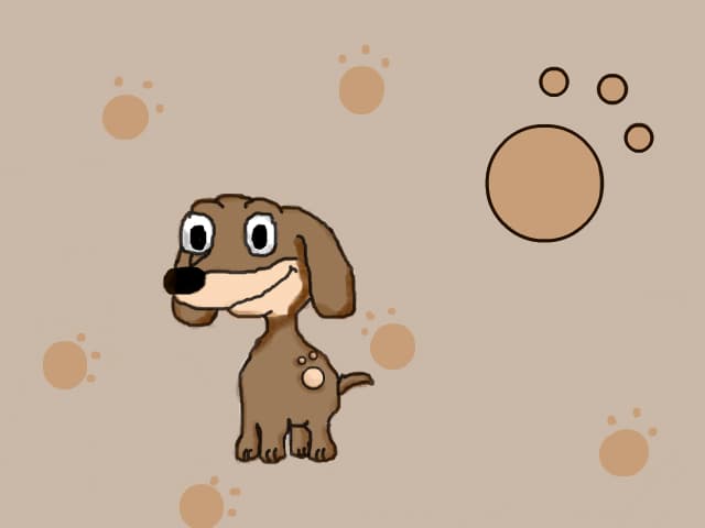 Pet